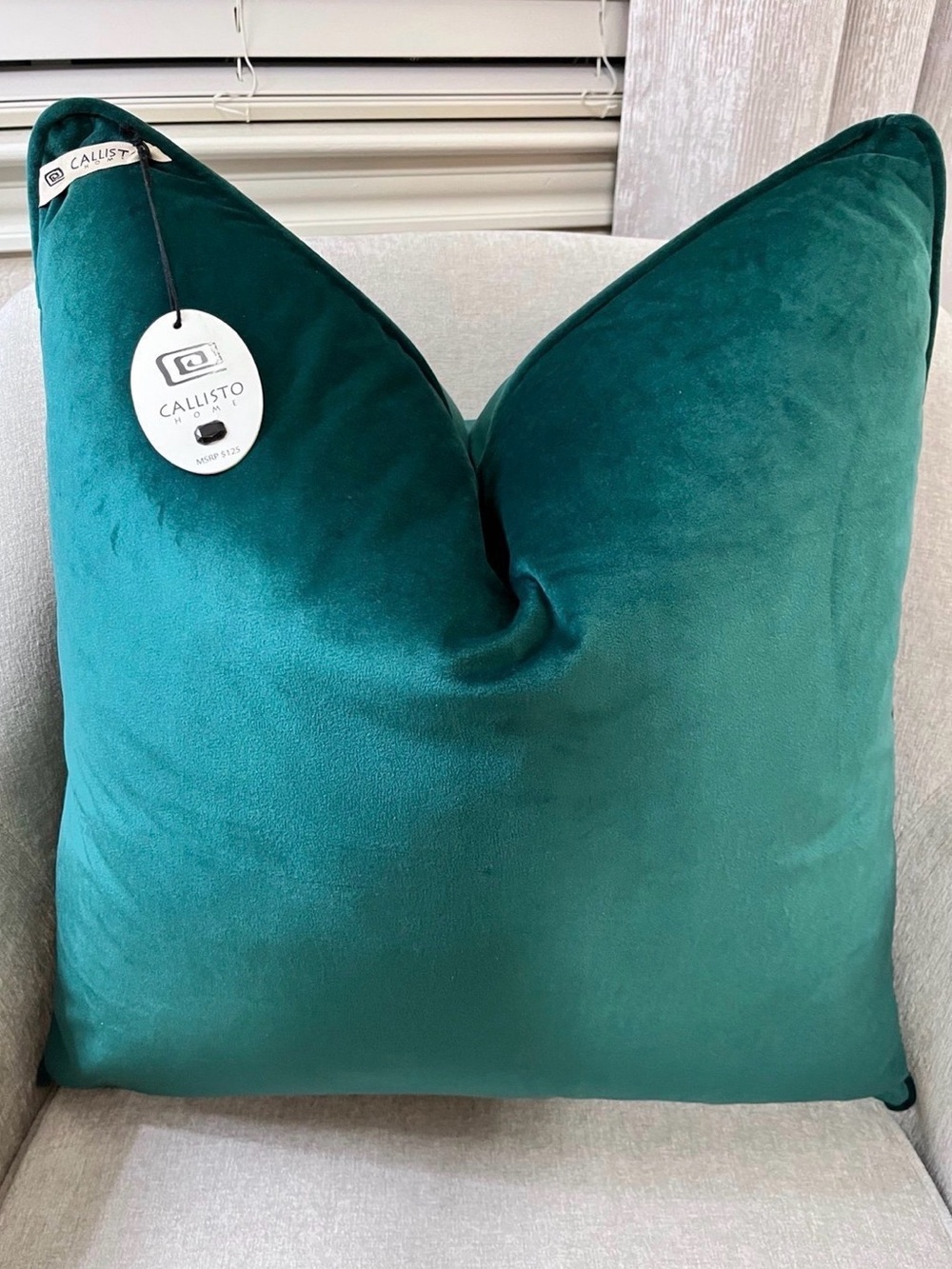 1-NWT CALLISTO HOME EMERALD GREEN
VELVET LUXURY DECORATIVE PILLOW (T1474F38)